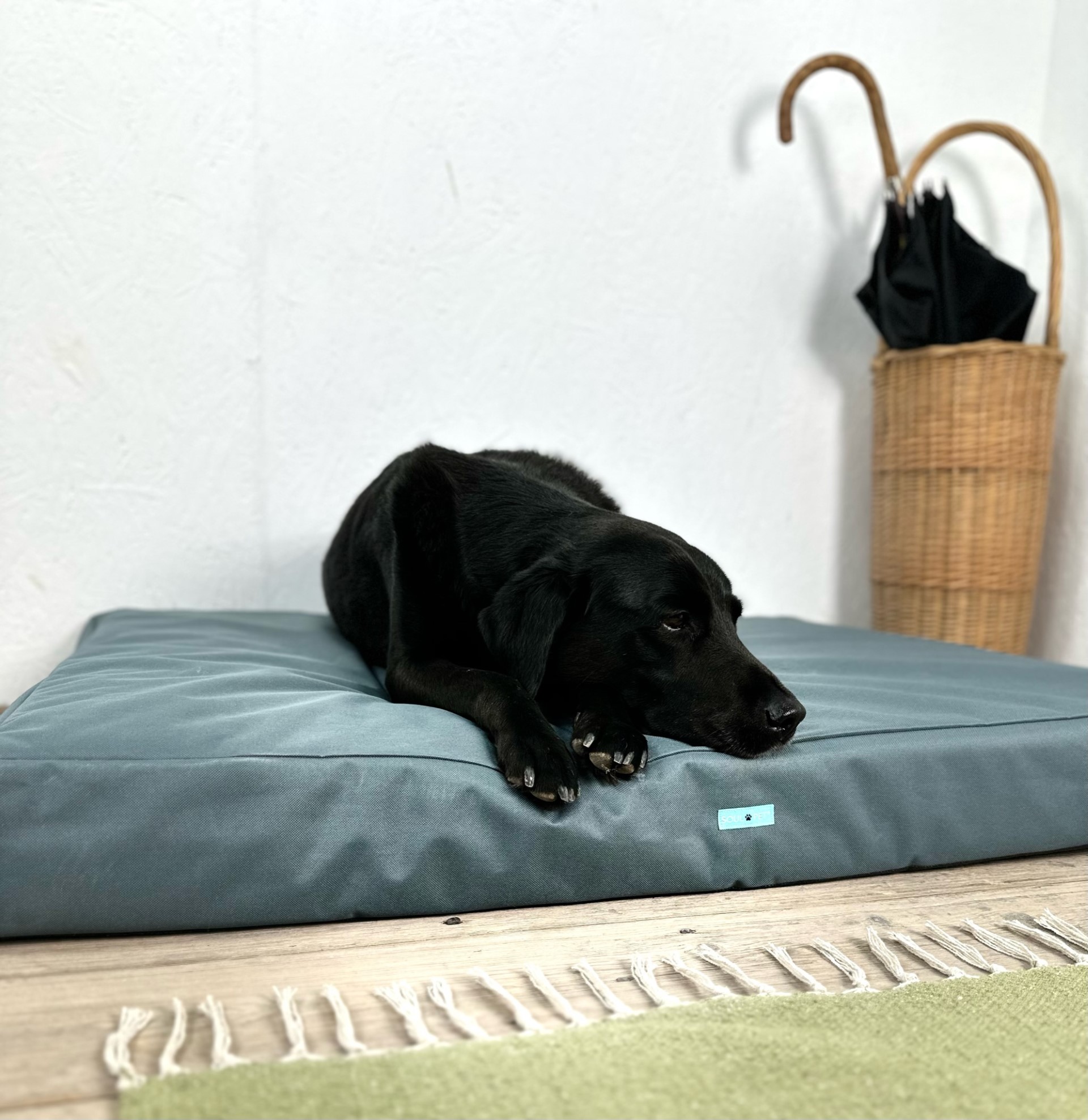 Pet Beds